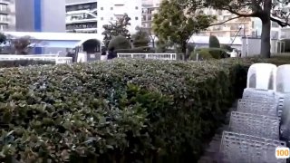 二零二三七月十二_丽丽安